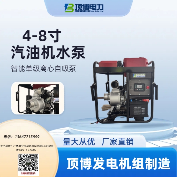 4-8寸汽油機(jī)水泵