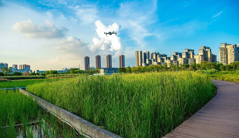 無人機(jī) 無人機(jī)